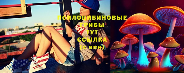 герыч Арсеньев